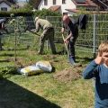 Garten 1